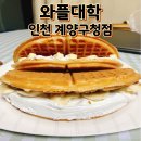 인천 와플대학 인천계양구청 캠퍼스 방문 후기