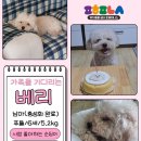 순둥이