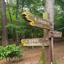 기찬 숲탐방 | 영암 월출산(산성대능선~은천계곡~기찬묏길)