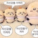 콘블리 이미지