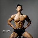 DIR. PT 이미지