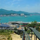 완도타워 이미지