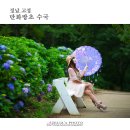 뒷동산농원 | 경남 고성 6,7월 가볼만한곳 :: 제7회 고성 만화방초 수국축제 【24년6월23일】