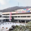 브레드림