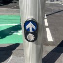 여행기록, 낭만 한도초과 SYD🇳🇿