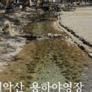 용하공원 화장실 네이버블로그