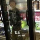 애멍 | 아니 이건 경지를 넘어서 지경이야
