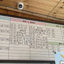 [하동 여행] 1박 2일 뚜벅이 여행 1일차 코스 : 화개터미널, 밤톨, 청운식당, 쌍계사, 정금차밭, 탑리다원