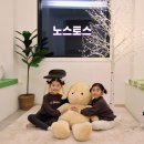 노스토스 이미지