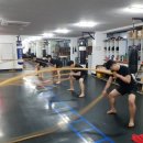 레드짐 복싱 이미지