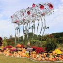 더맑은이현마을 이미지