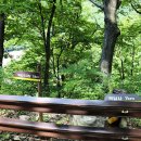 백담계곡 이미지