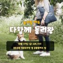 놀러왕 이미지