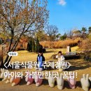 습지원 | 서울식물원 주제원 단풍 산책 꿀팁 (카페, 주차, 입장료)