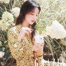 그라치아 이미지