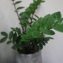 쑥쑥공인중개사사무소 이미지