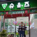 슈올즈남대문