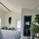 안녕판포 이미지