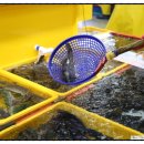 총각상회 이미지