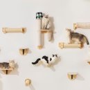 디자인미우 이미지