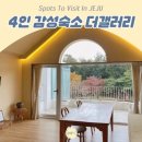더 갤러리펜션 | 제주도4인숙소 더갤러리펜션 파파야A 2박 후기