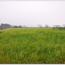 공수마을회관 이미지