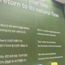 코스모뷰티 서울 2026 후기