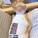 야옹아놀자 마곡점 이미지