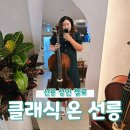 첼로 | 선릉 성인 첼로 퇴근 후 나만의 힐링 취미 클래식 온 선릉에서 첼로 레슨 후기