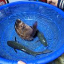 (주)에바다수산