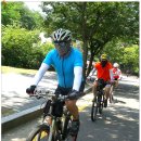 시흥대교 이미지