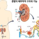 B&R휘트니스 이미지
