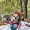 라온FA 이미지