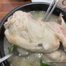 로로삼계탕 - 평택시 비전4로 160 | 로로삼계탕