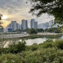 배정고등학교 | 25년 10월 잠실파크리오 임장 후기 | 6,864세대 초대단지의 진짜 경쟁력은?