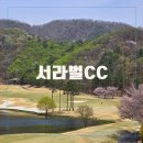 서라벌골프클럽 | 서라벌cc 라운딩 후기 코스 그늘집
