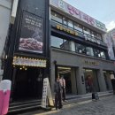 냥이 싸롱 이미지