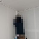 도배왕