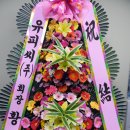 유피씨 티스토리