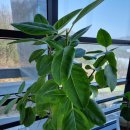 더27월풀펜션 이미지