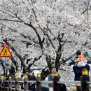 온천천시민공원 기념 이미지