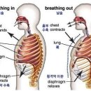 88GYM 이미지