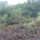 문산읍-1 이미지