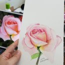 캘리그라피&꽃그림 이미지
