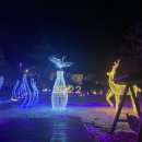 투썸플레이스삼척해수욕장점 이미지