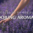 유정오일