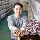 포항곤충농장 이미지