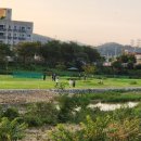 역천파크골프장 이미지