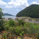 뽑기좋은날 이미지