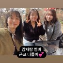 [전시] 온 세상이 데이지로 가득해_DAISY GARDEN 방문후기(25.03.15)